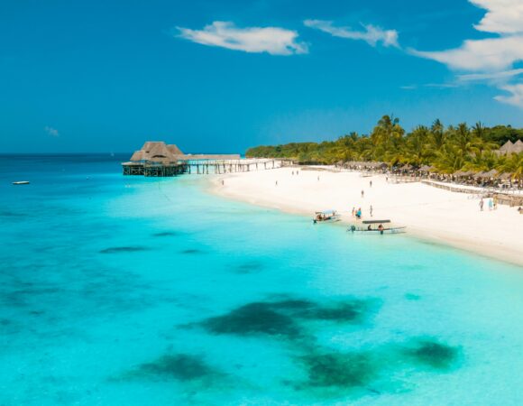 Beach or Bush? Why Not Both?