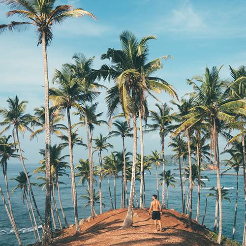 Tarangire National Park