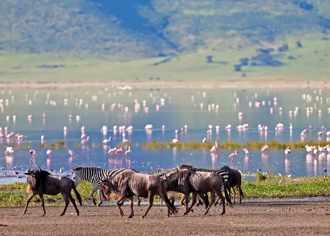 Ngorongoro Crater