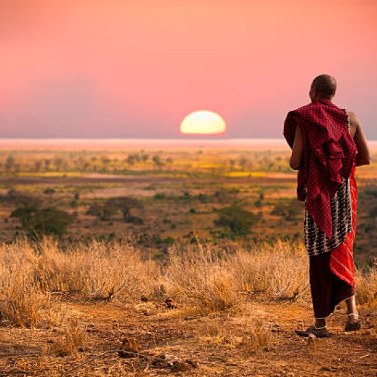 Masai man, wearing traditional blankets, overlooks Serengeti in Tanzania as the colorful sunset fills the sky.  Wild grass in the forground.